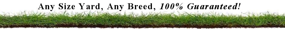 Any Size Yard, Any Breed, 100% Guaranteed!