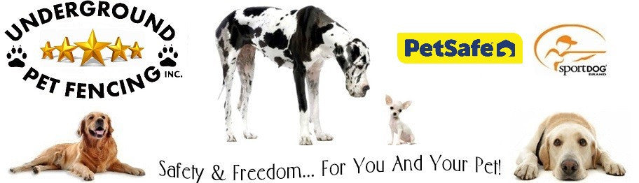 PetSafe® Electronic SmartDoor™- Small  A+ Underground Pet Fencing, Inc.  Illinois Dog Fence Dealer & Store